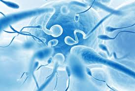 Male Infertility and Low Sperm Count Causes and Treatments