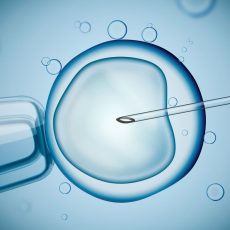 What to Know Before an Embryo Transfer