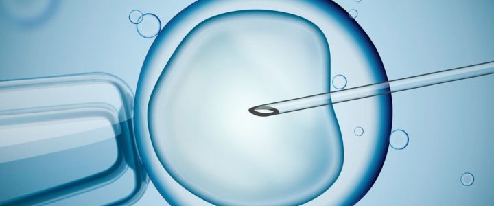 What to Know Before an Embryo Transfer