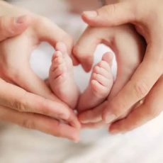 Cyprus Crown IVF: The Best IVF Clinic in Cyprus for Your Fertility Needs