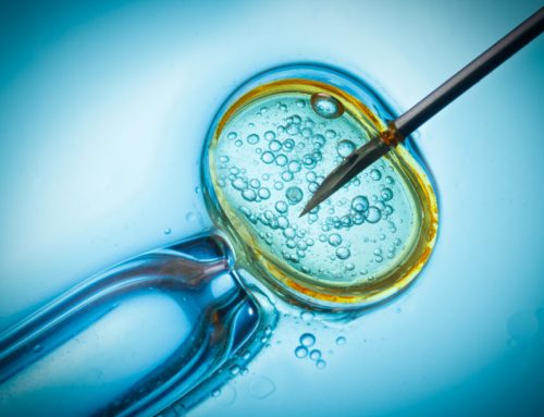 Fresh vs Frozen Embryo Transfer