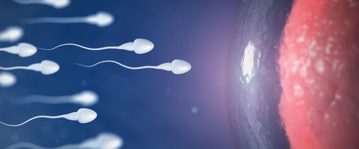 Impact of Smoking and Alcohol over Sperm Production