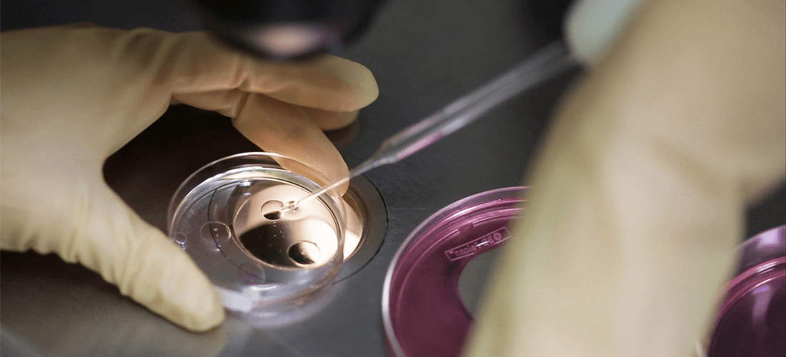 What is Embryo Donation?